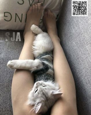 欧美人偶恐怖电影_高清免费电影观看